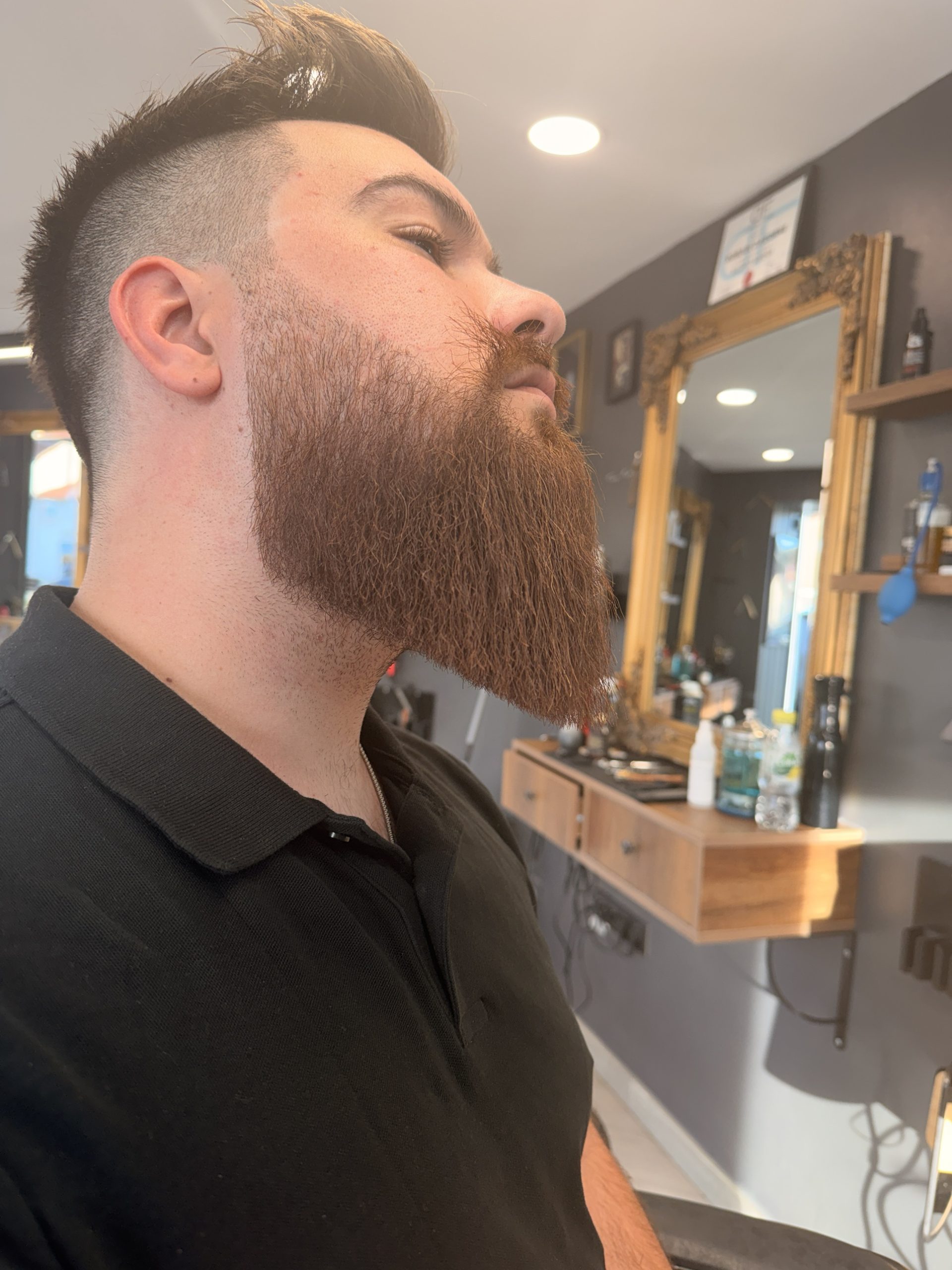 TAILLE ET MISE EN FORME DE BARBE